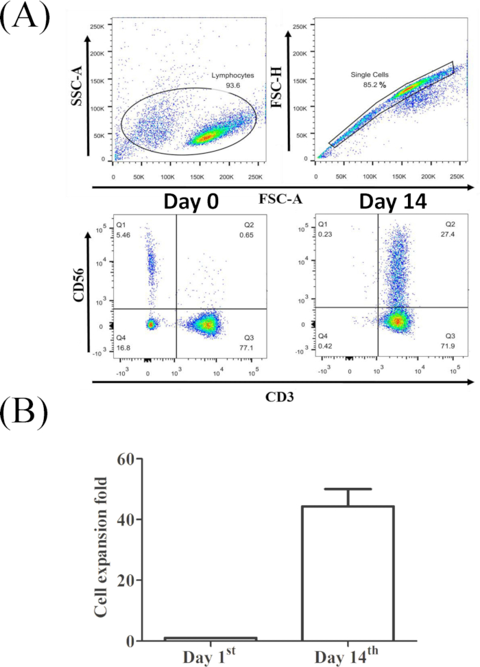 figure-representative results-25