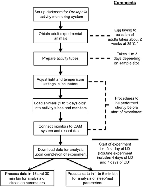 figure-protocol-26860