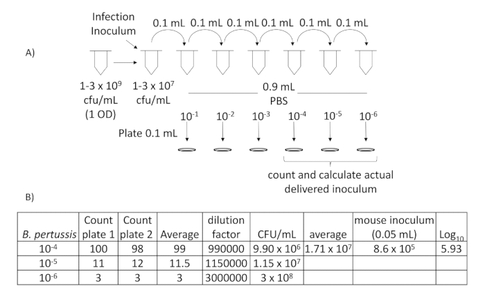 figure-results-329