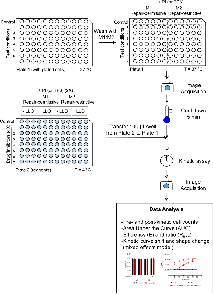 figure-results-58