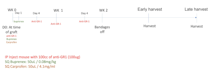 figure-results-58