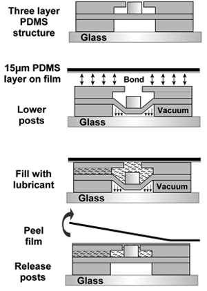 figure-protocol-23495