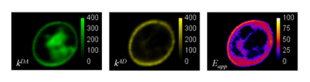 figure-protocol-28056 figure-protocol-28056