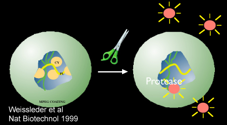 figure-protocol-10170