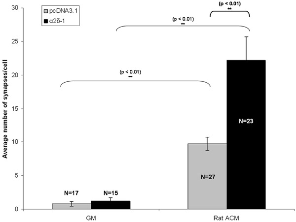 figure-protocol-25169