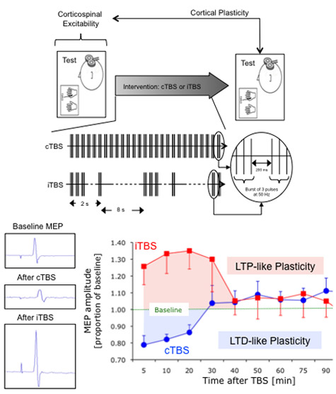 figure-protocol-4091