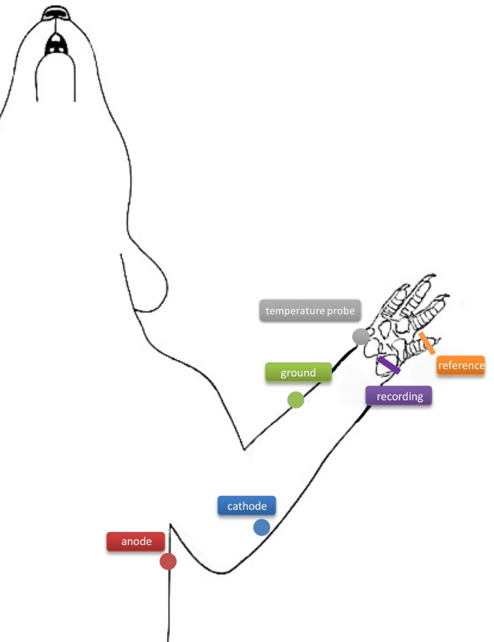 figure-results-58