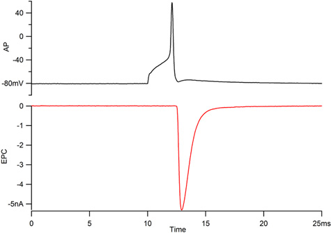 figure-protocol-5798