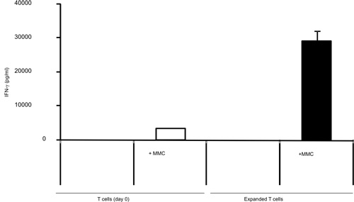 figure-protocol-5845