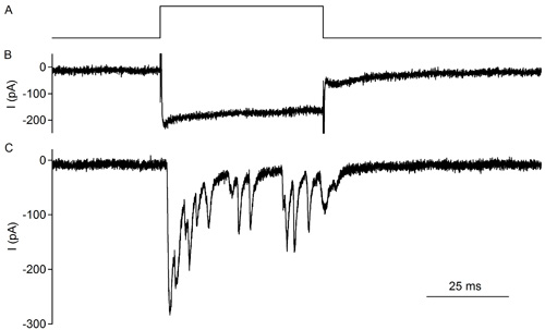 figure-protocol-17205 figure-protocol-17205