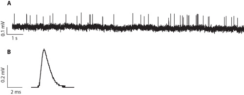 figure-protocol-17948 figure-protocol-17948