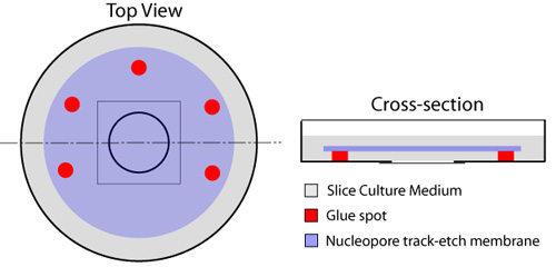 figure-protocol-16752
