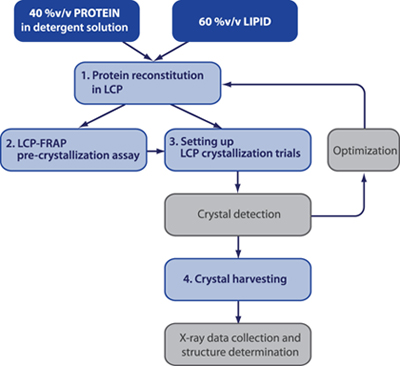 figure-protocol-9056