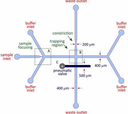 figure-protocol-17056