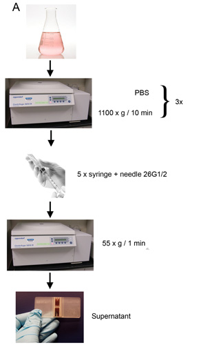 figure-protocol-10338