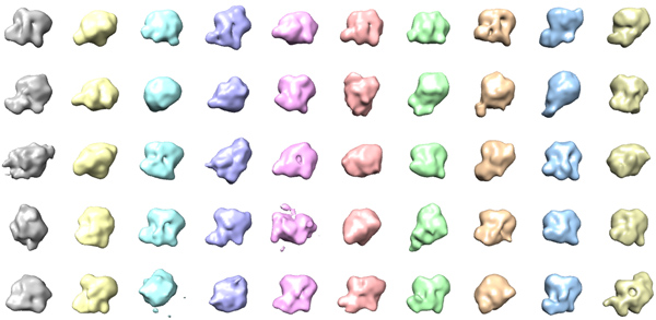 figure-protocol-22145