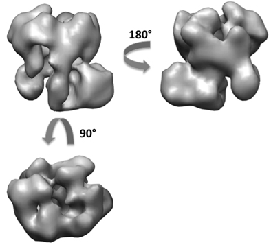 figure-protocol-22329