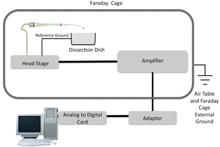 figure-protocol-2408