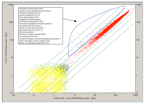 figure-protocol-19349 figure-protocol-19349
