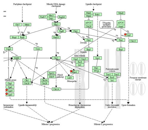 figure-protocol-19924 figure-protocol-19924