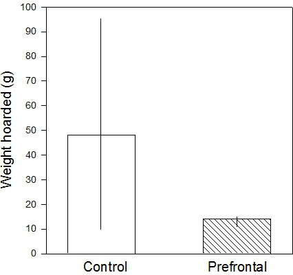 figure-protocol-14266