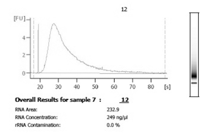 figure-protocol-20731