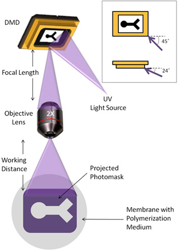 figure-protocol-12598