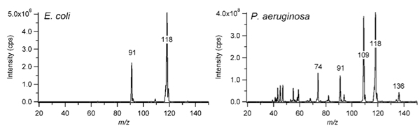 figure-protocol-11813