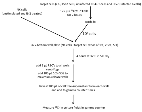 figure-protocol-20268