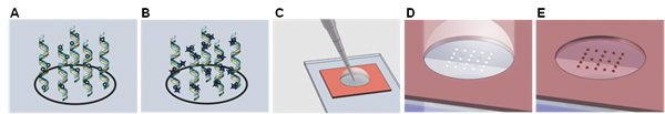 figure-protocol-10335