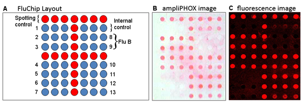 figure-protocol-10866