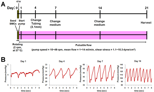 figure-protocol-13516
