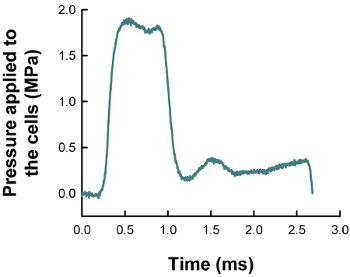 figure-protocol-10306