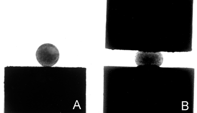 figure-protocol-12010