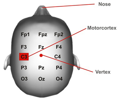 figure-protocol-16634
