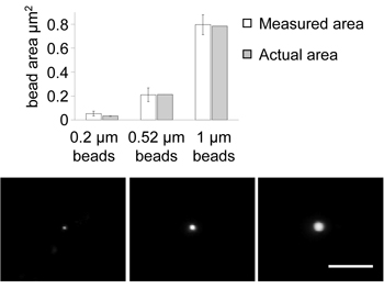 figure-protocol-30874 figure-protocol-30874