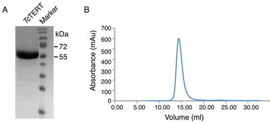 figure-protocol-11732