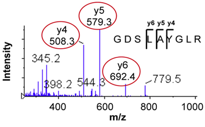 figure-protocol-8718