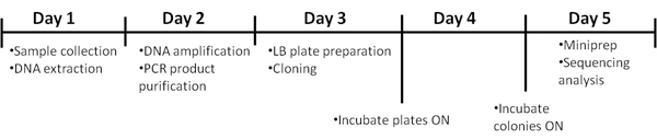 figure-protocol-5182