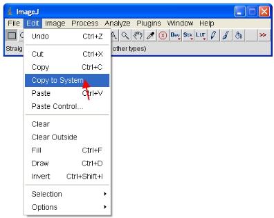 figure-protocol-9037