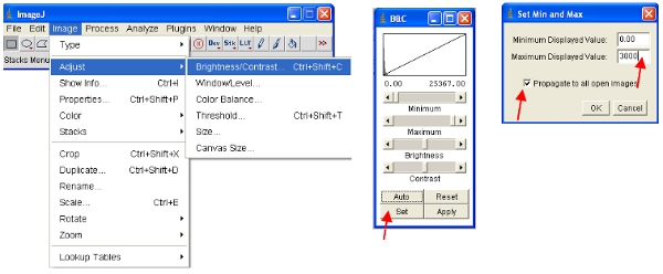 figure-protocol-5402
