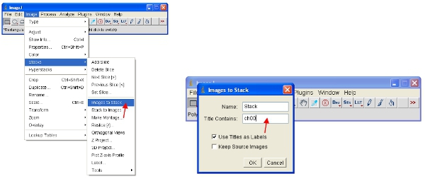 figure-protocol-5929