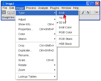figure-protocol-6397