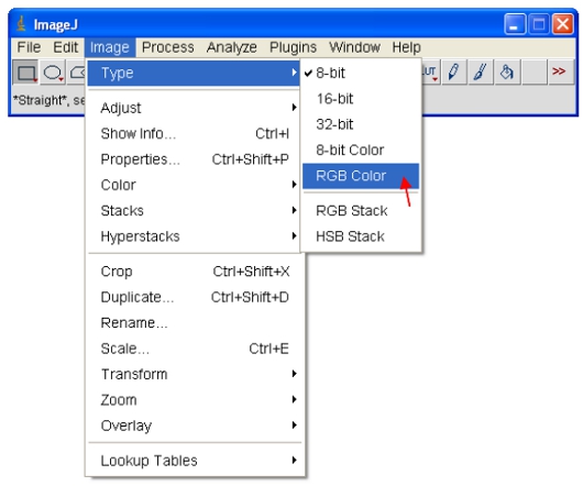 figure-protocol-8595