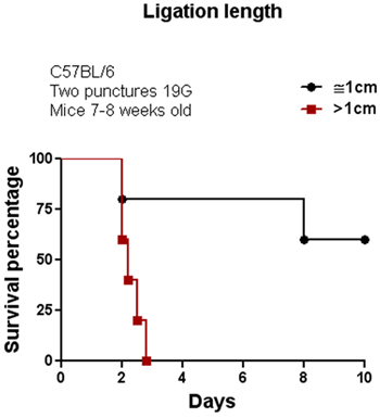 figure-protocol-8661