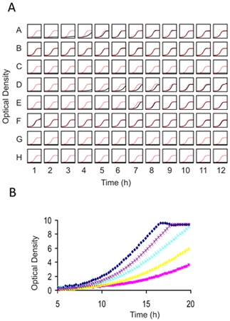 figure-protocol-29380