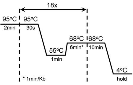 figure-protocol-13852