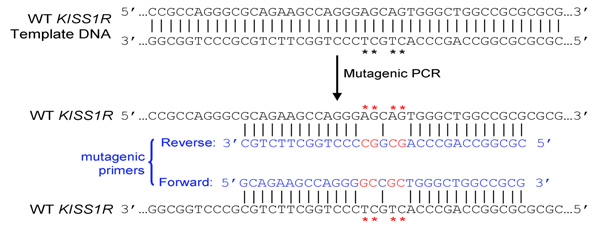 figure-protocol-828