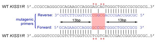 figure-protocol-1055