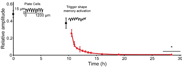 figure-protocol-9759